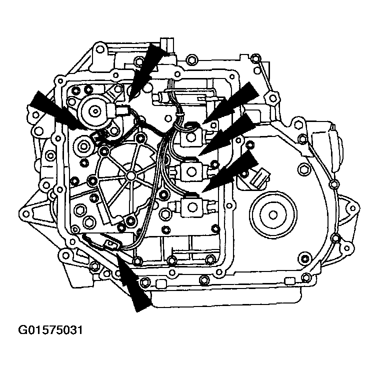 G01575031
