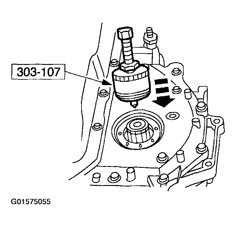G01575055