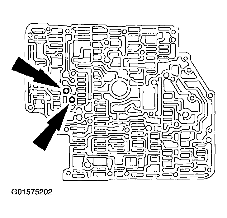 G01575202