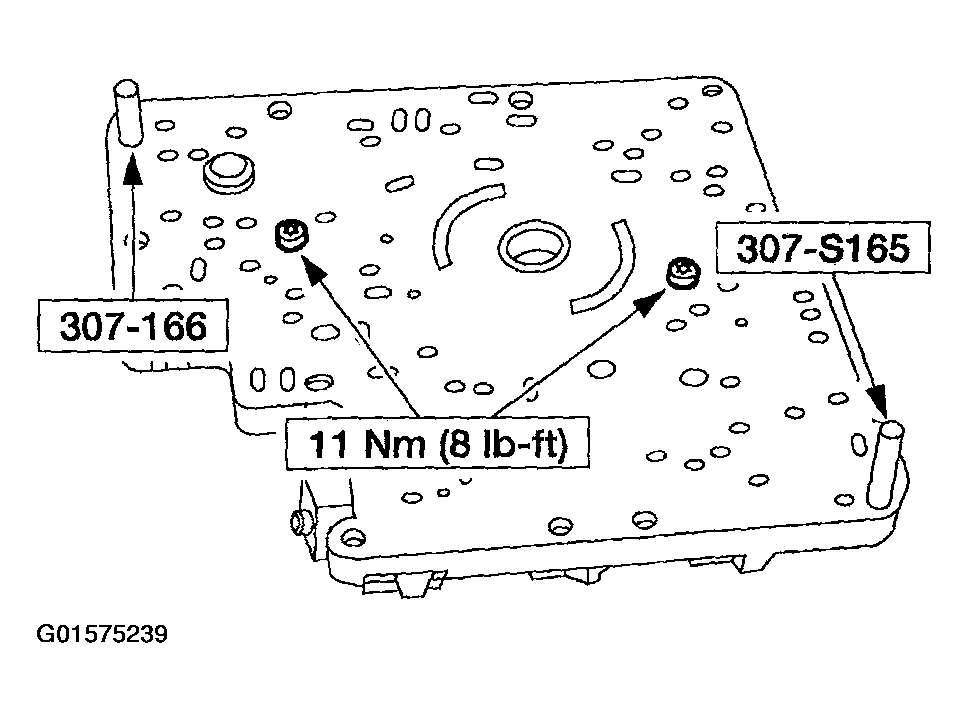 G01575239