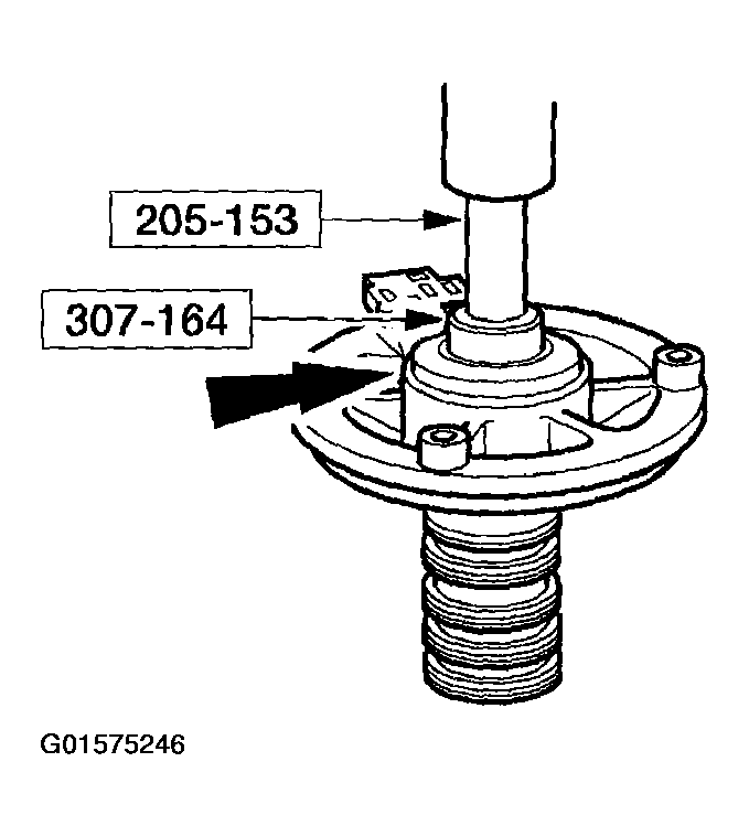 G01575246