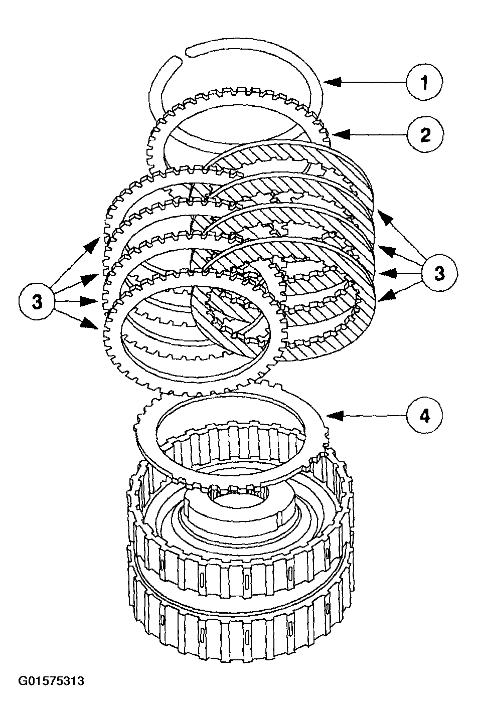 G01575313