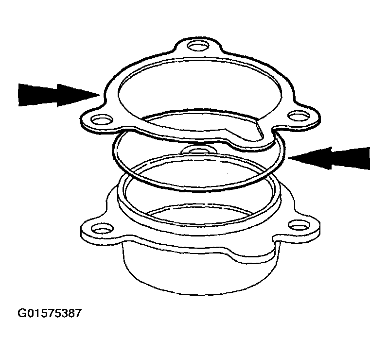 G01575387