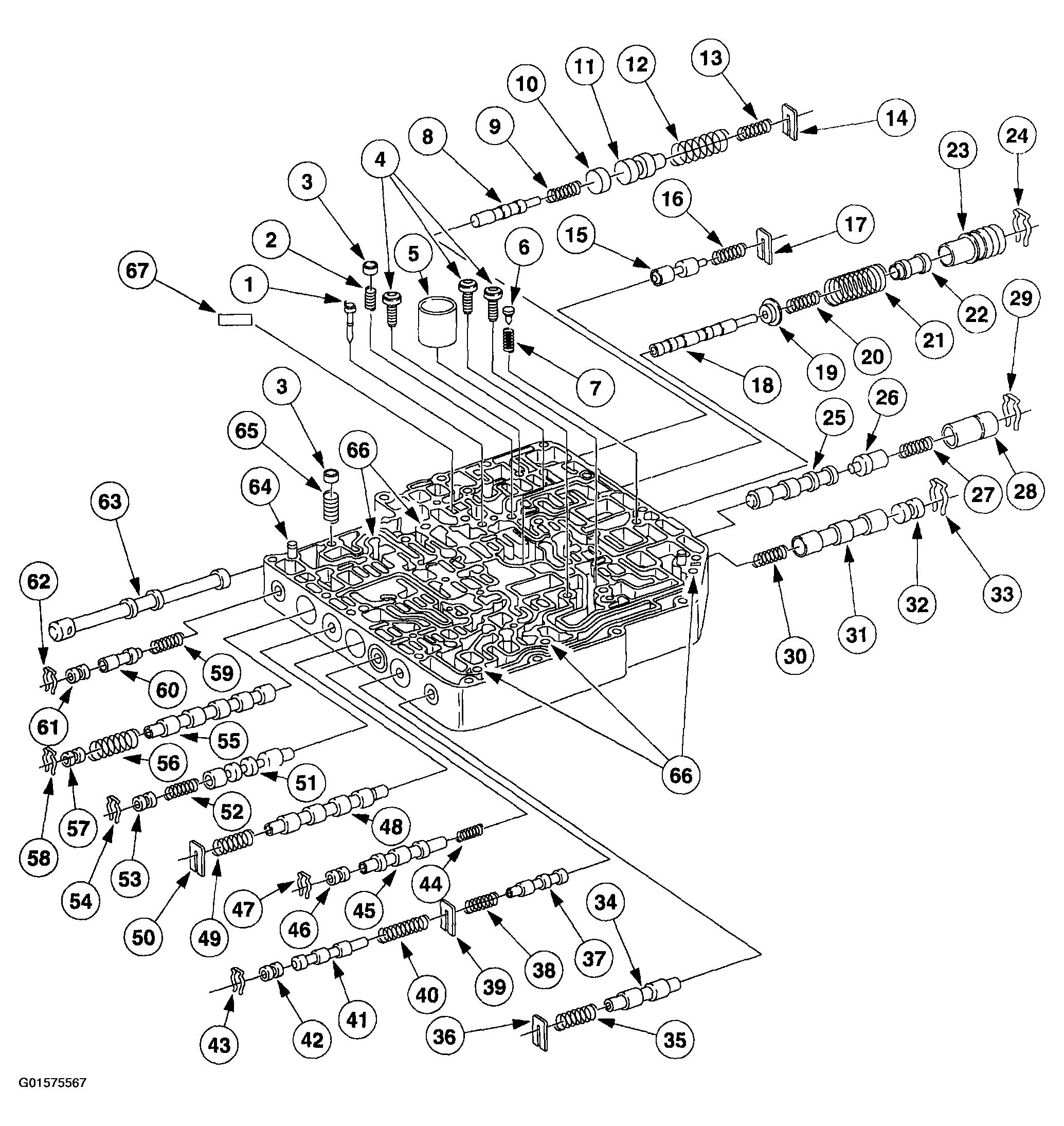 G01575567