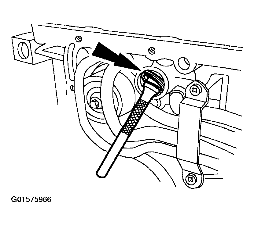 G01575966