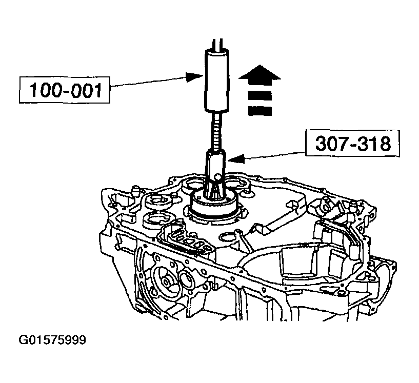 G01575999