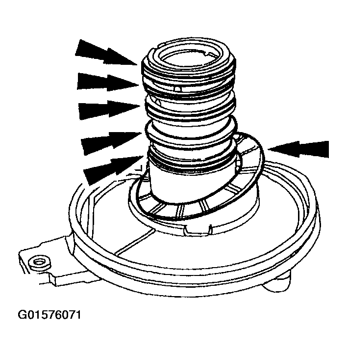 G01576071