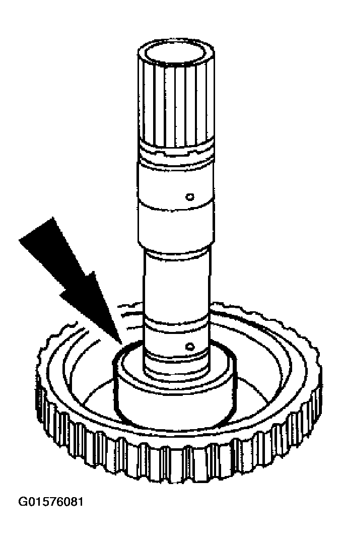 G01576081