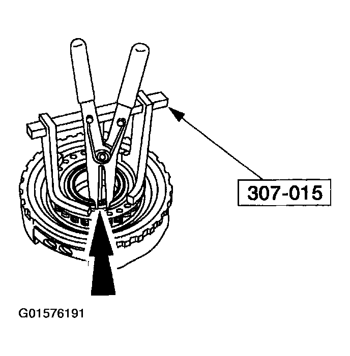 G01576191