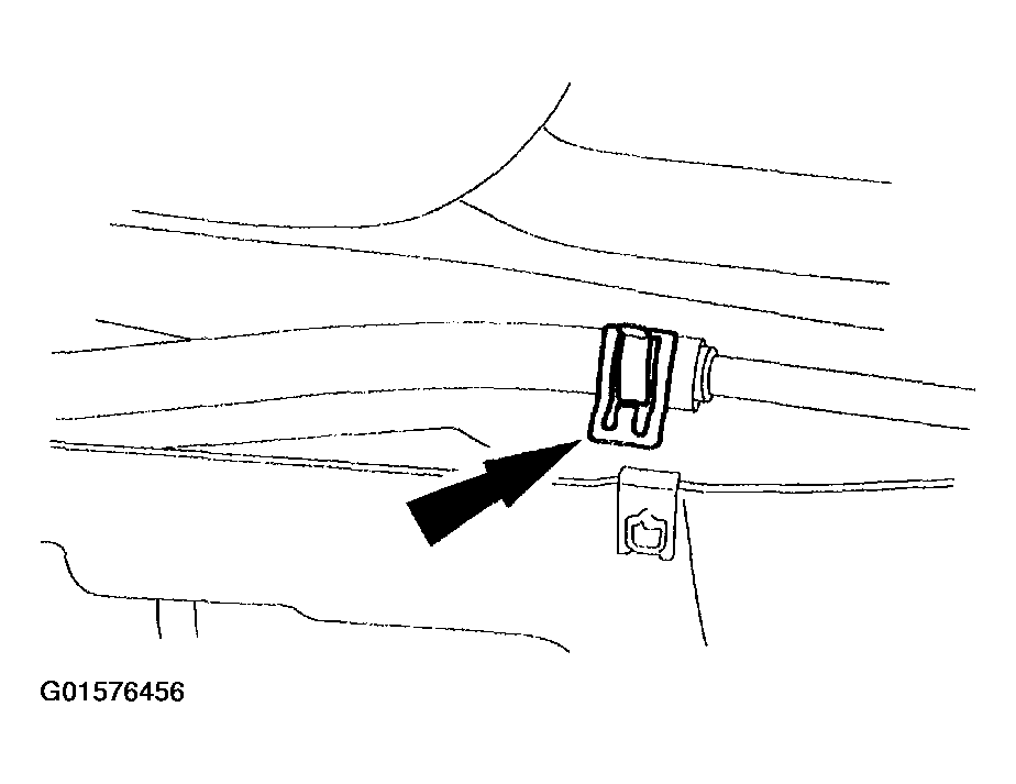 G01576456