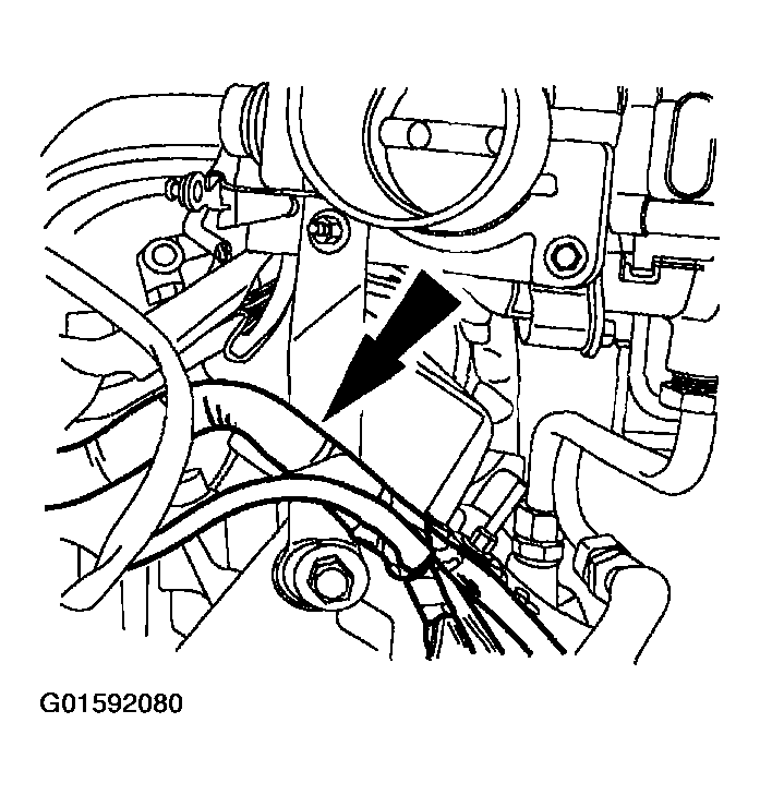 G01592080