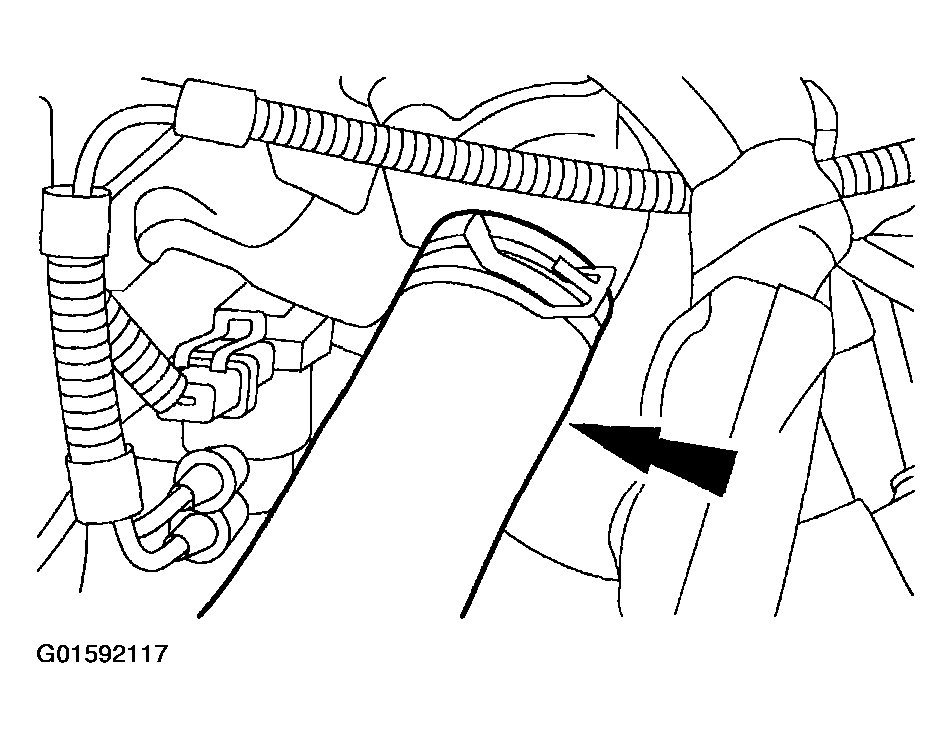 G01592117