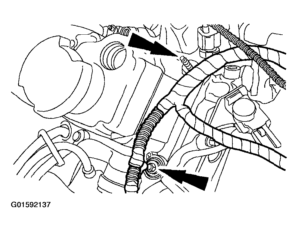 G01592137