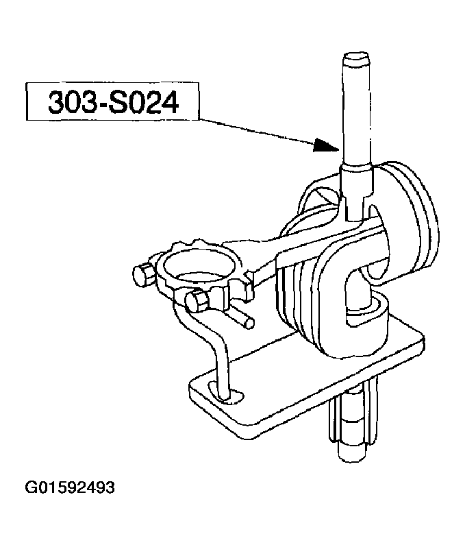 G01592493