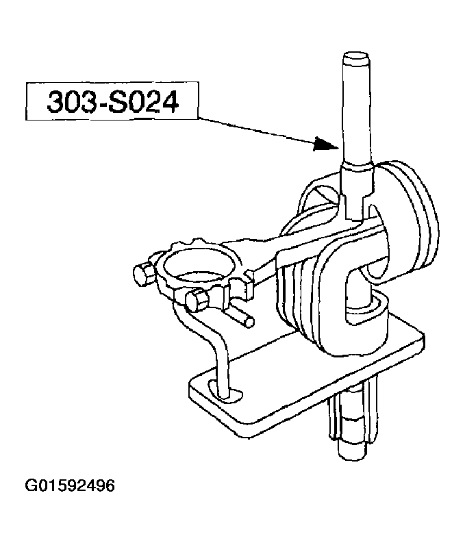 G01592496