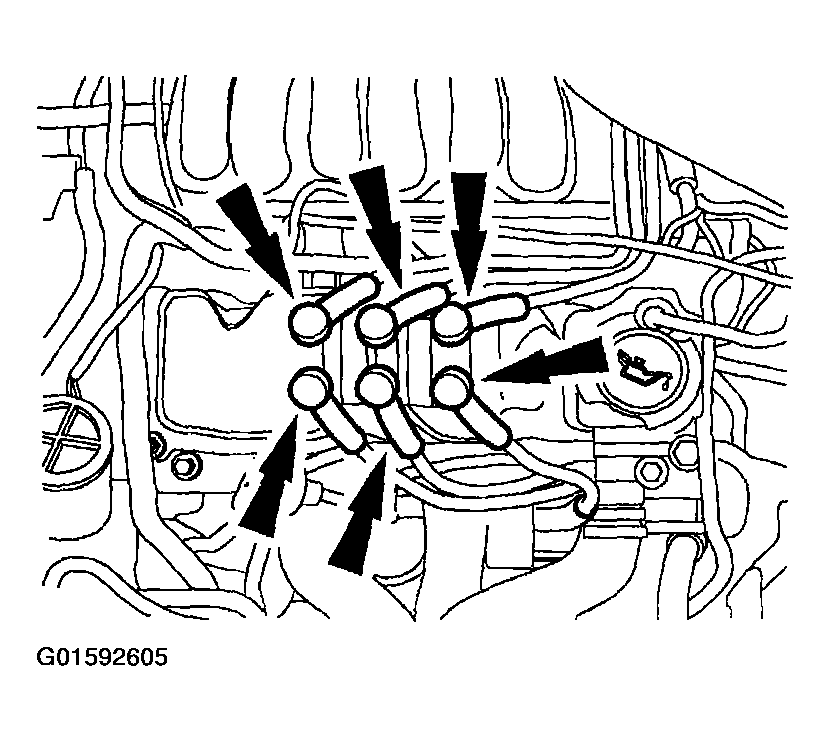 G01592605