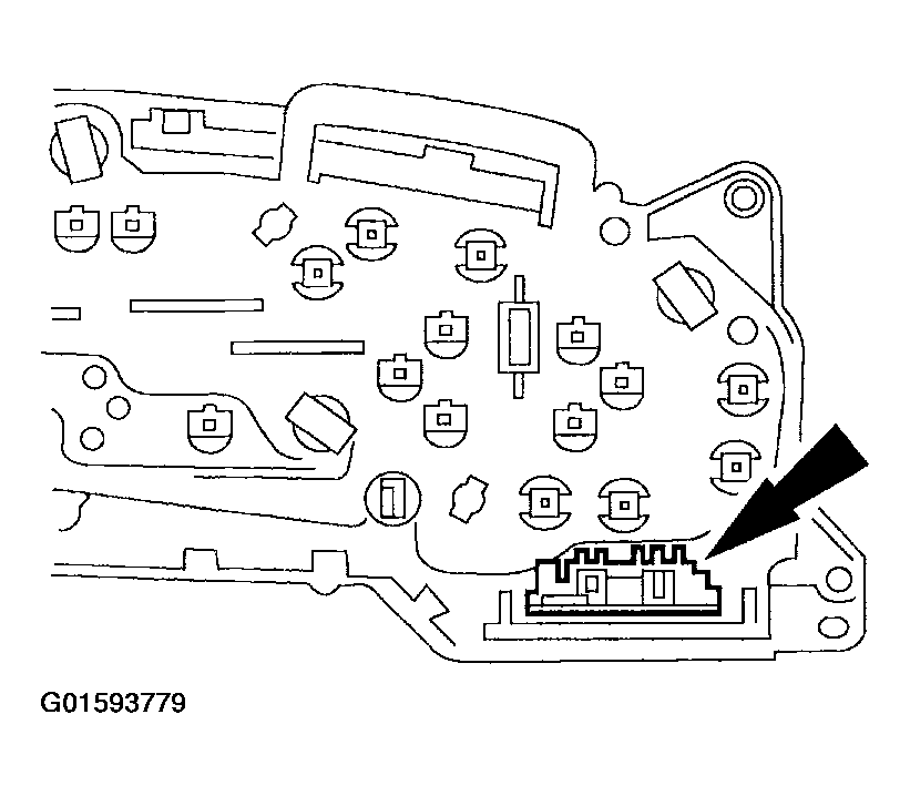 G01593779