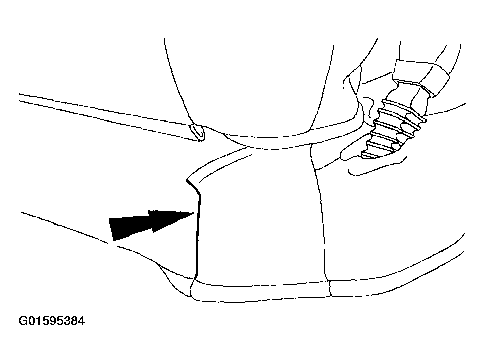 G01595384