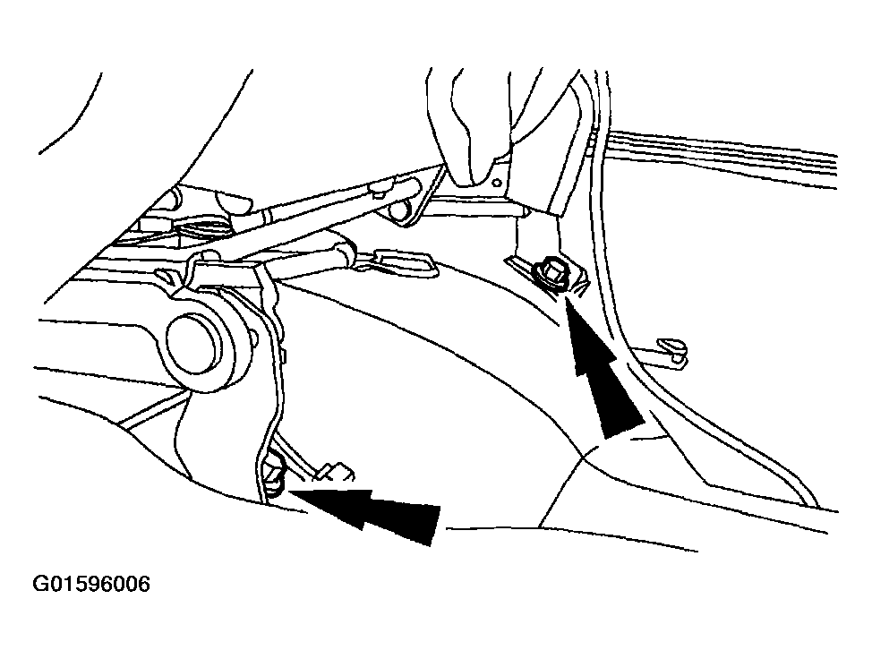 G01596006