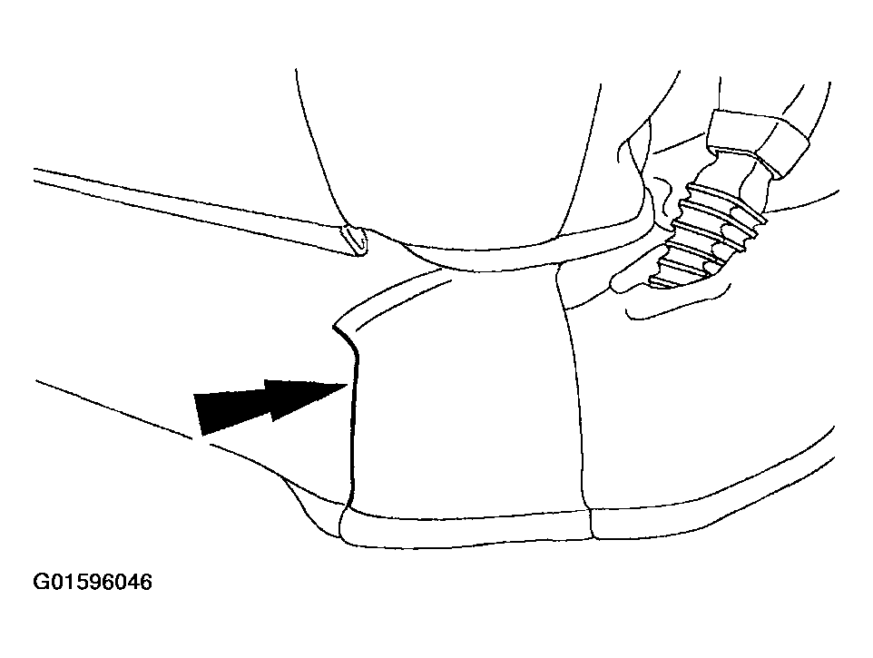 G01596046