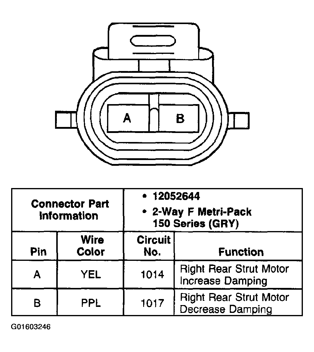G01603246