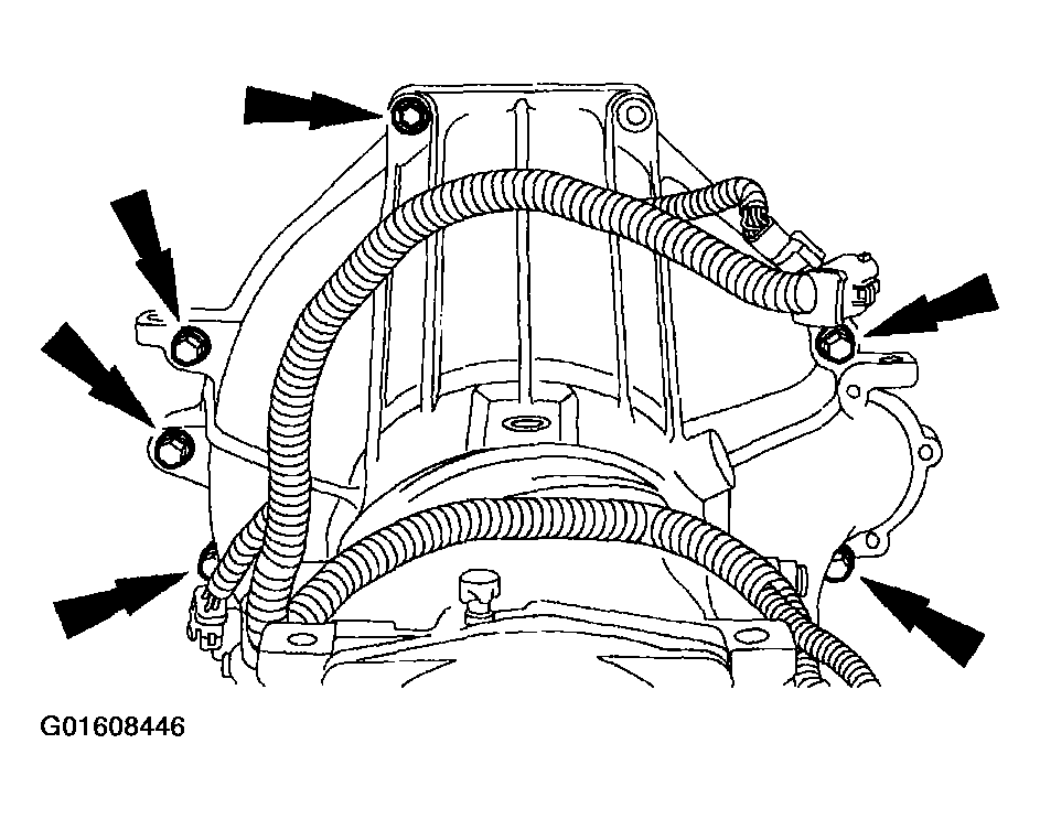 G01608446