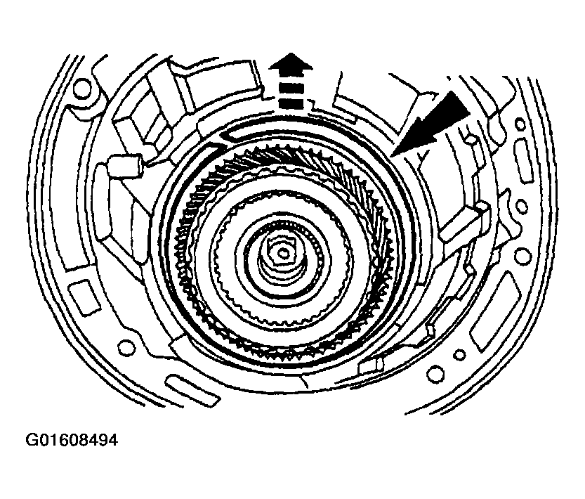 G01608494