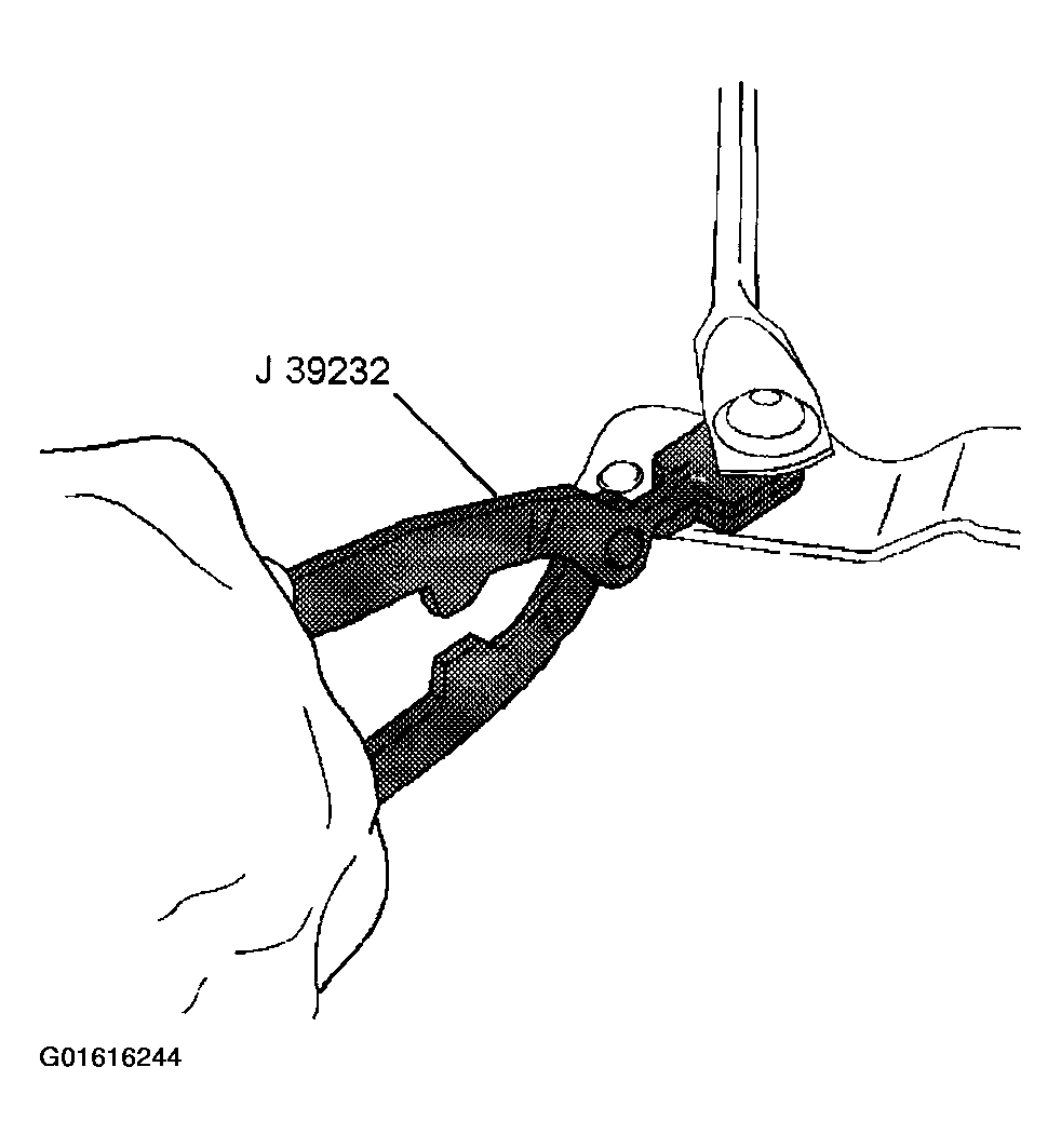 G01616244