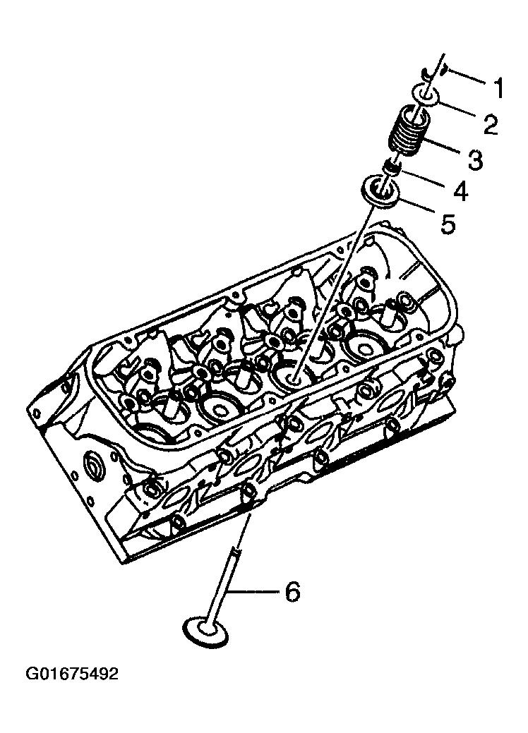 G01675492