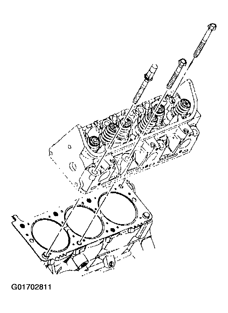 G01702811