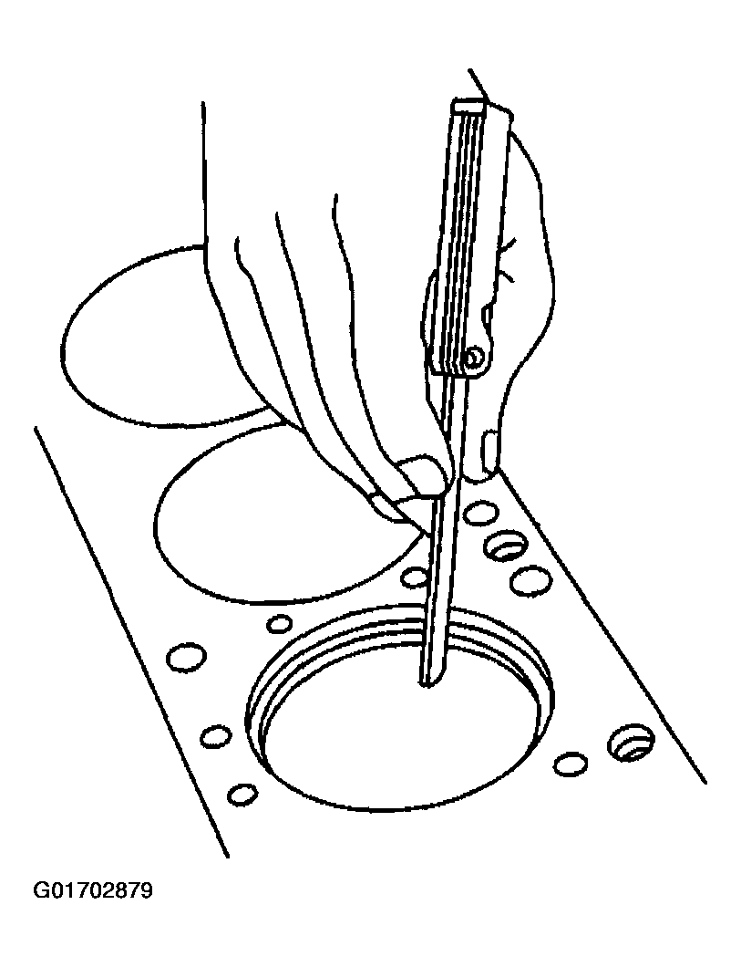 G01702879