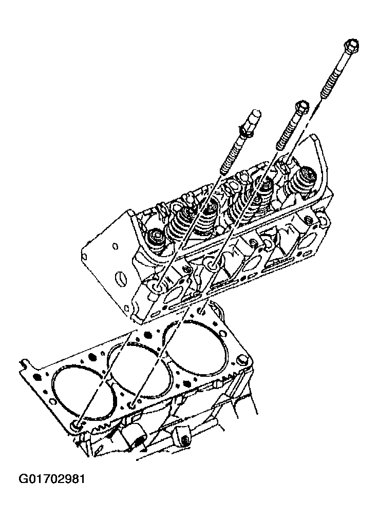 G01702981