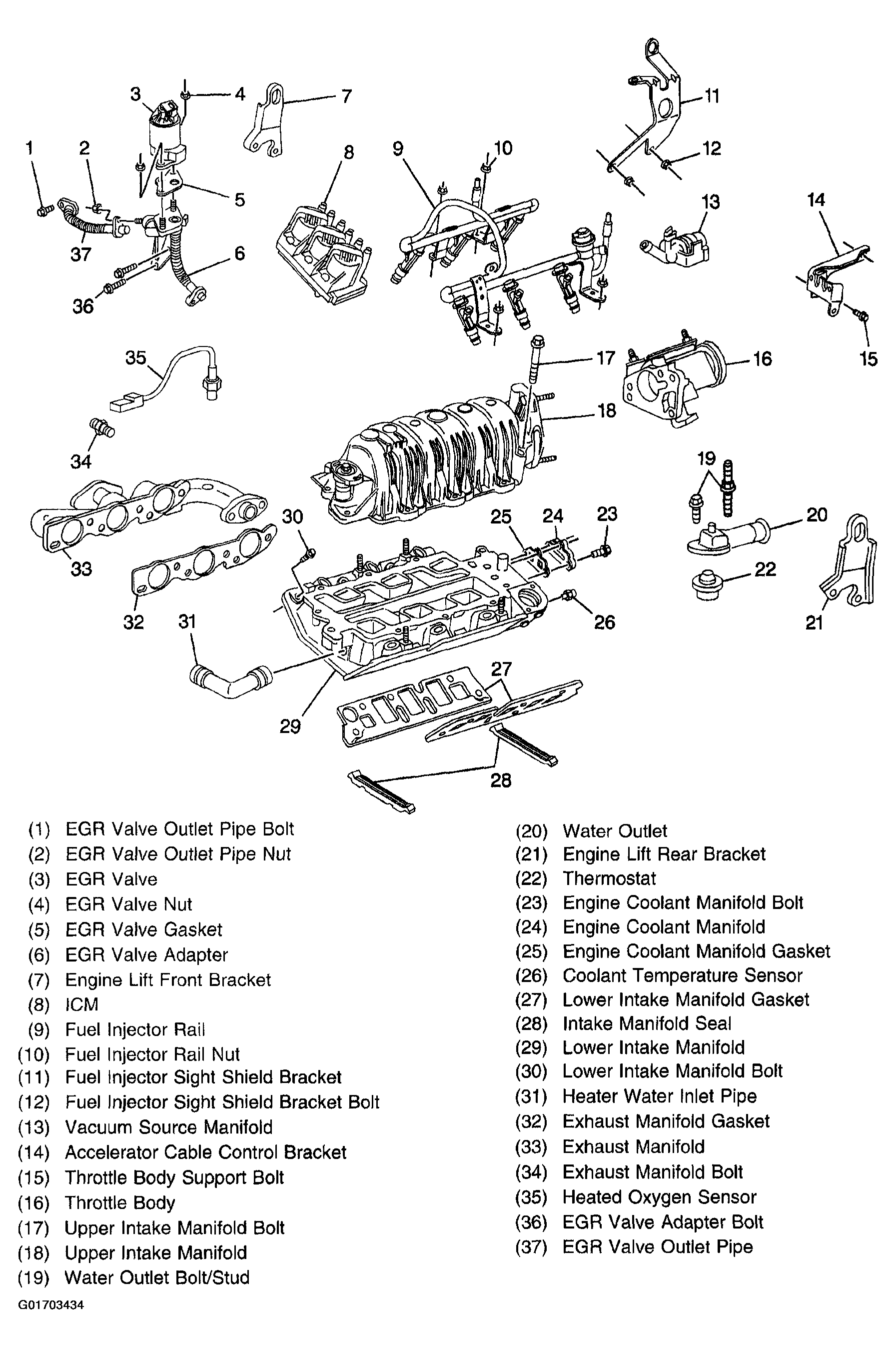 G01703434