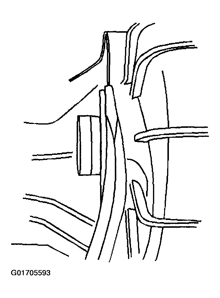 G01705593