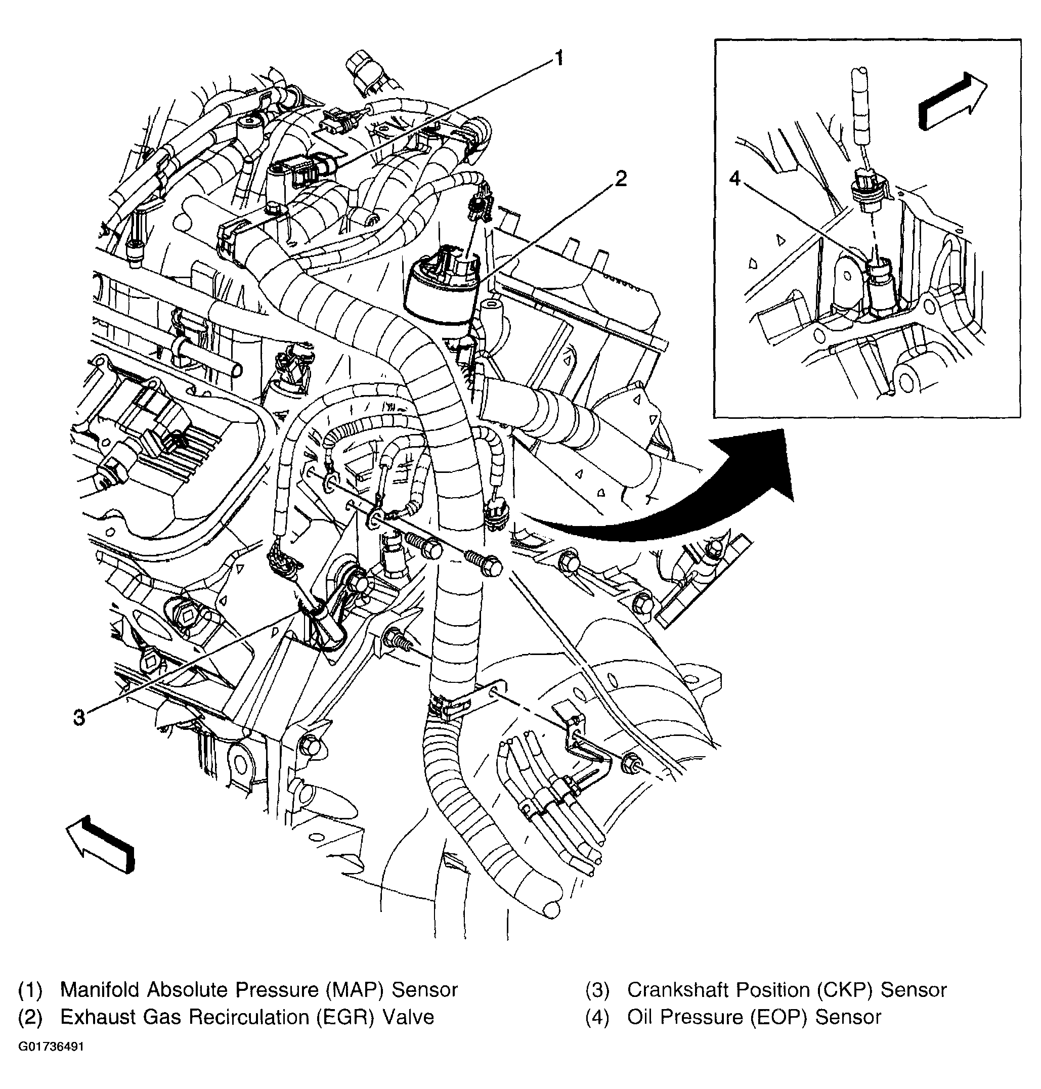 G01736491