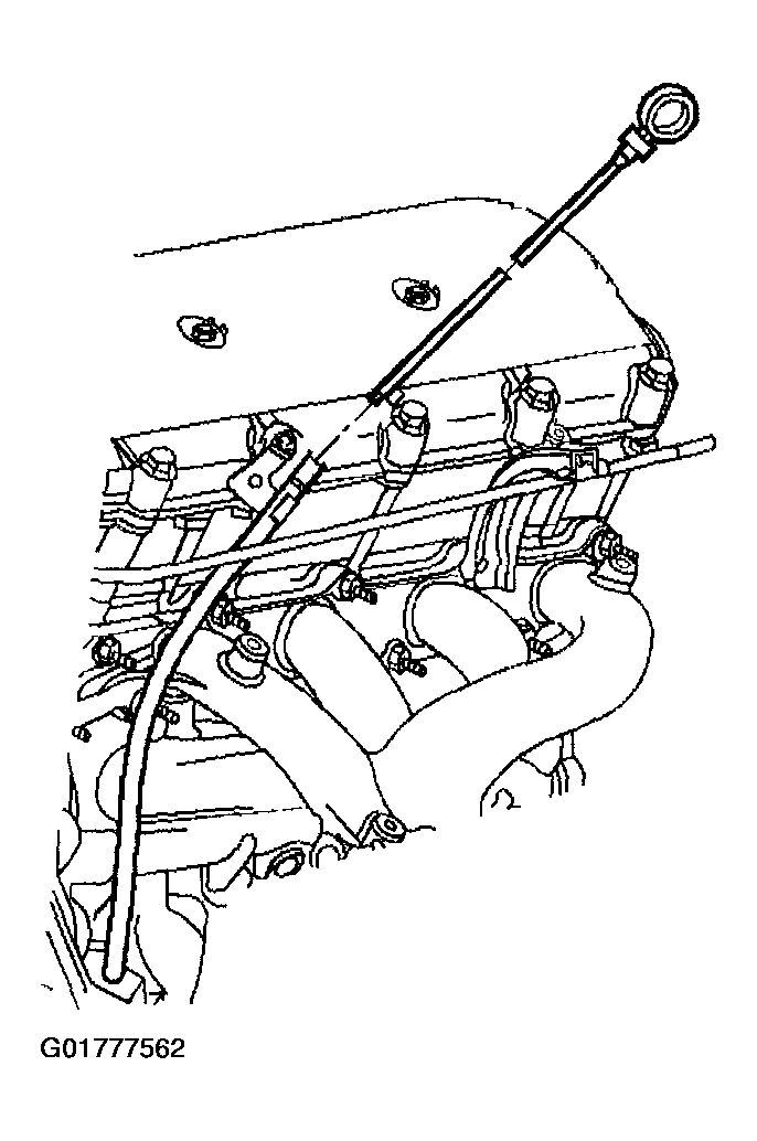 G01777562