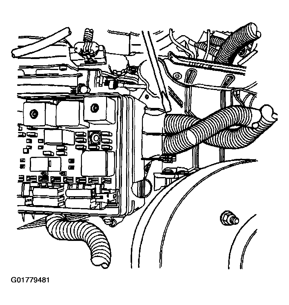 G01779481