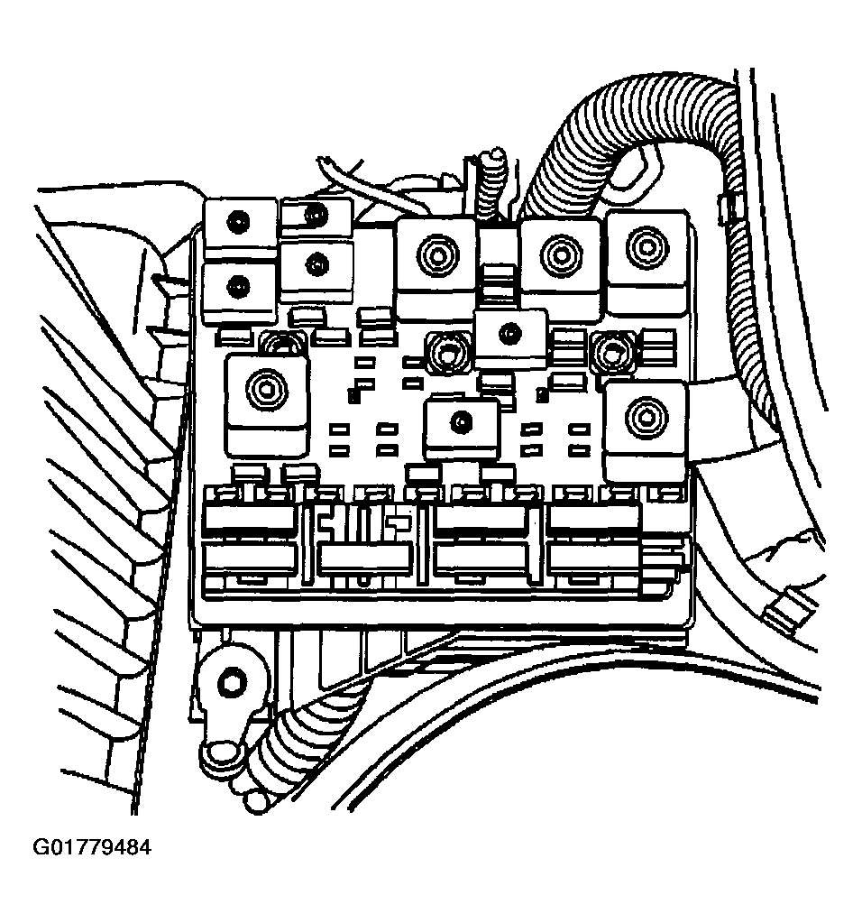 G01779484