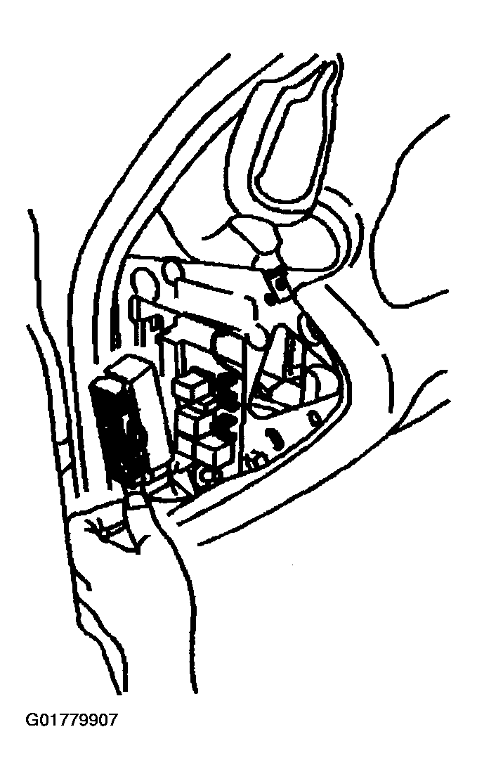 G01779907