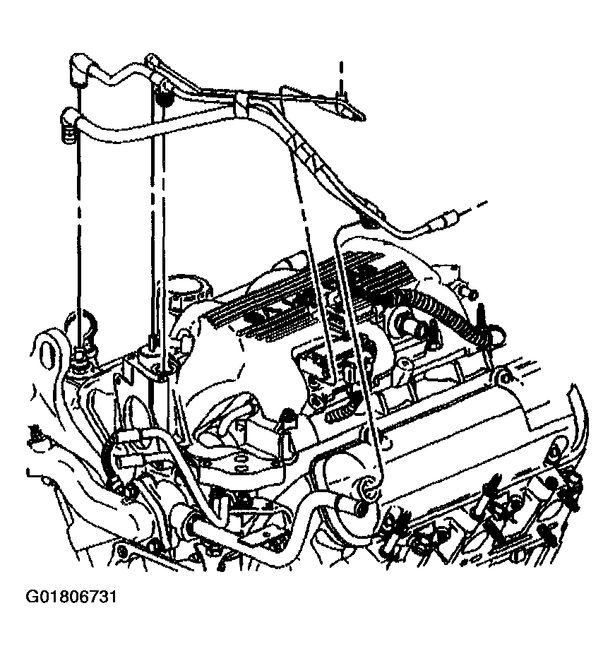G01806731