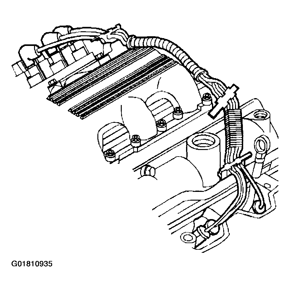 G01810935