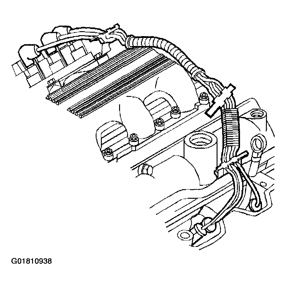 G01810938