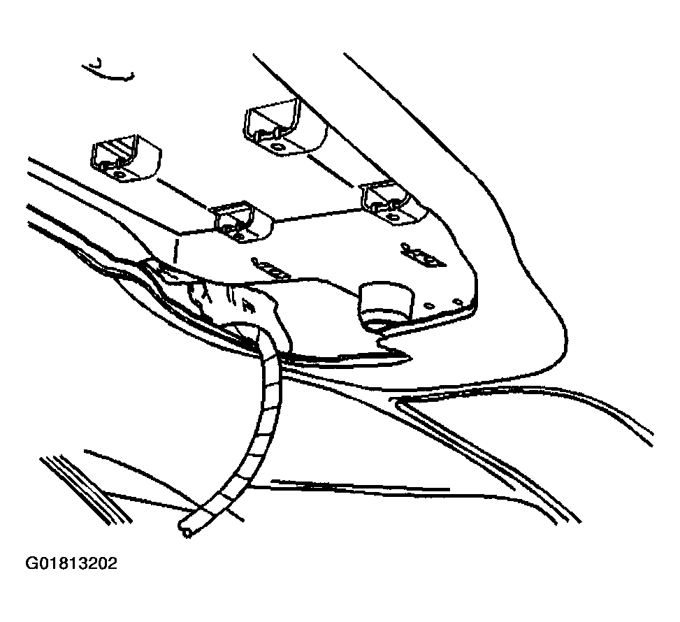 G01813202