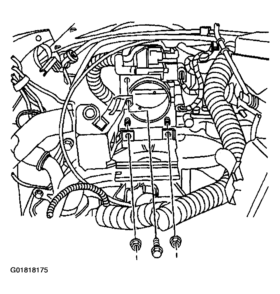 G01818175