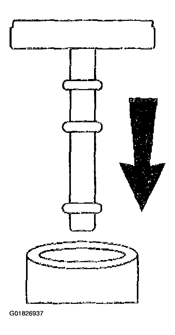 G01826937