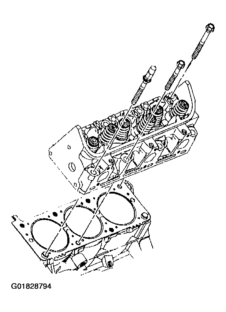 G01828794