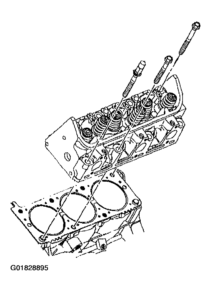 G01828895