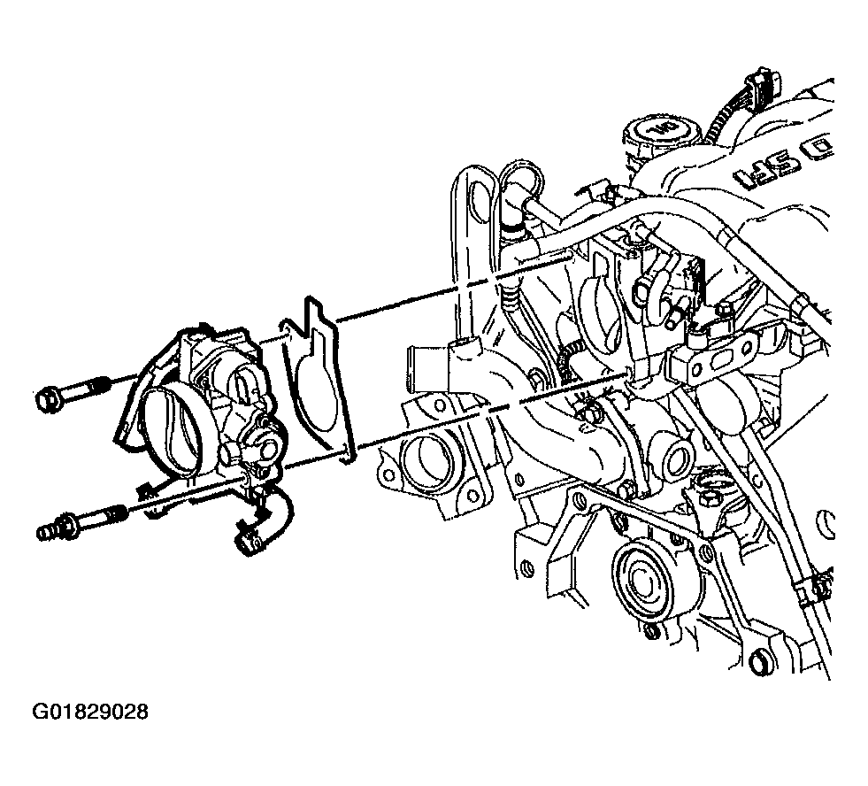 G01829028