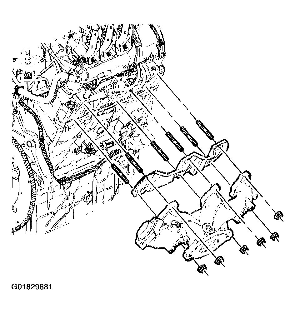 G01829681