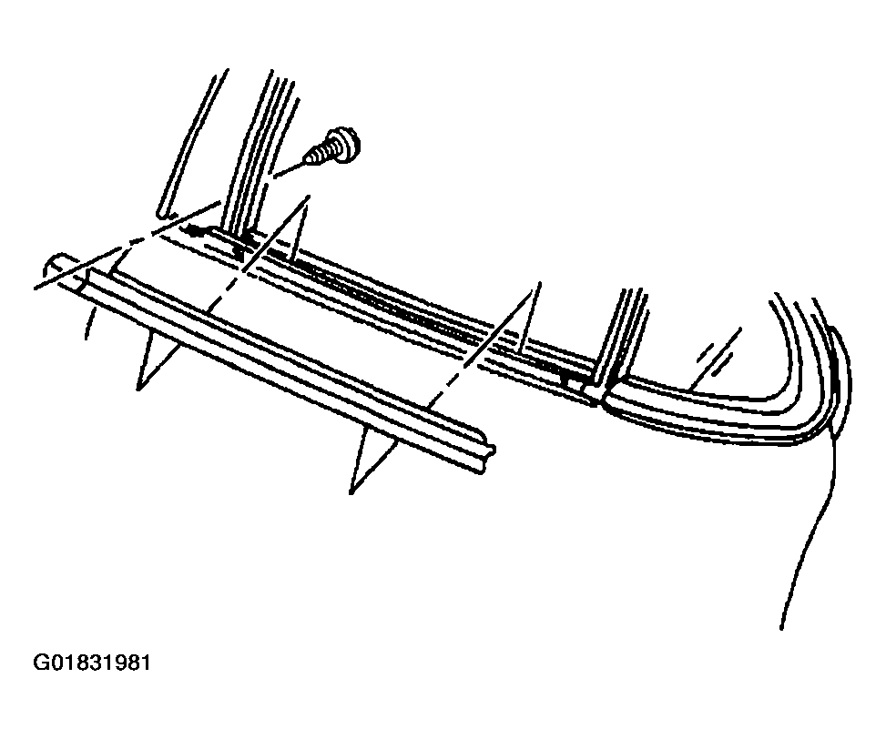 G01831981
